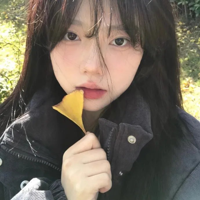 电视剧集推荐